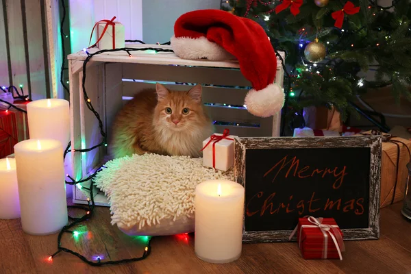 Gatto rosso sul cuscino senza pavimento in legno e sfondo decorazione di Natale — Foto Stock