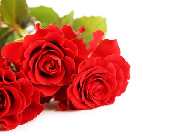 Strauß roter Rosen — Stockfoto