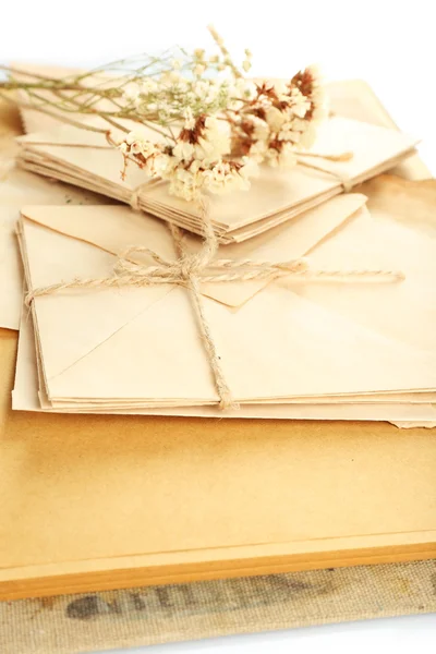 Gamla brev med torra blommor och bok på nära håll — Stockfoto