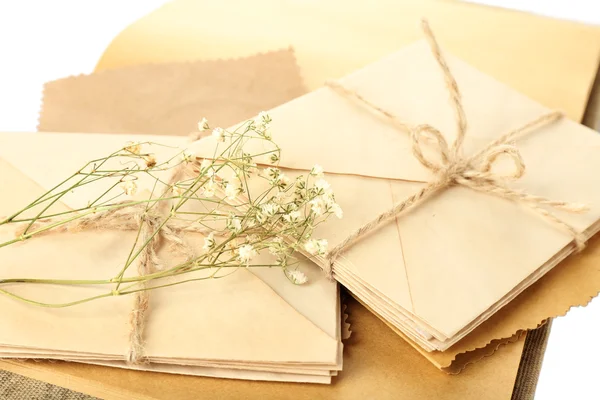 Alte Briefe mit trockenen Blumen und Buch in Nahaufnahme — Stockfoto