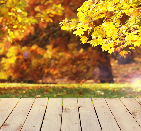 Tavola di legno su sfondo parco autunnale — Foto Stock