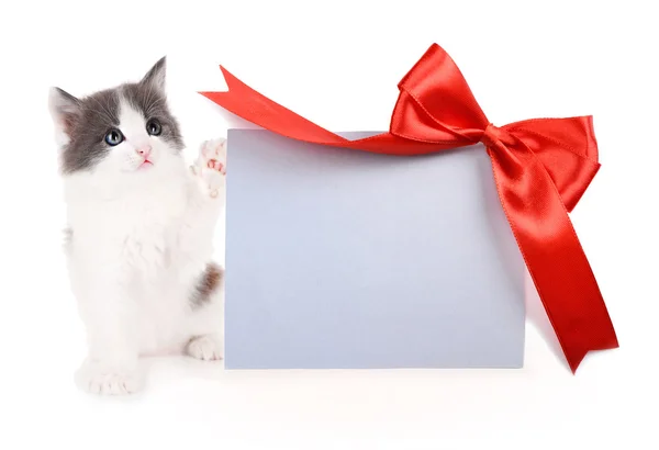 Pequeno gatinho com cartão de saudação isolado em branco — Fotografia de Stock