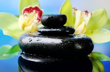 Su damlalı spa taşları