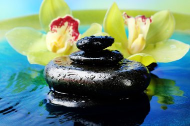 Su damlalı spa taşları