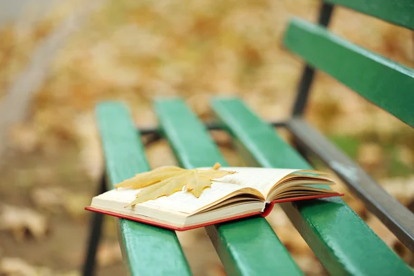 Ανοιχτό βιβλίο με φύλλο σχετικά με αυτό που βρίσκεται στον πάγκο στο πάρκο φθινόπωρο — Φωτογραφία Αρχείου