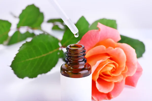 Dropper bottle of perfume with rose on light background — Stock Photo, Image