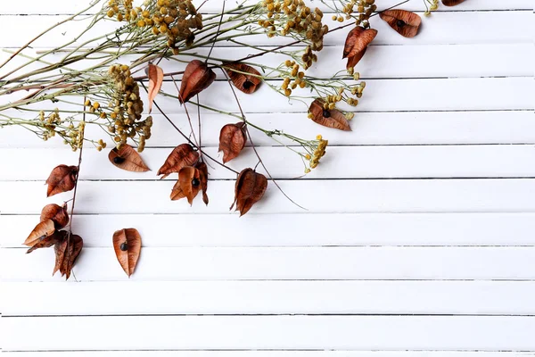 Gedroogde bloemen op een houten planken achtergrond kleur — Stockfoto