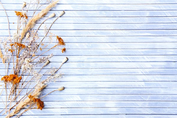 Сушёные цветы на фоне деревянных досок — стоковое фото