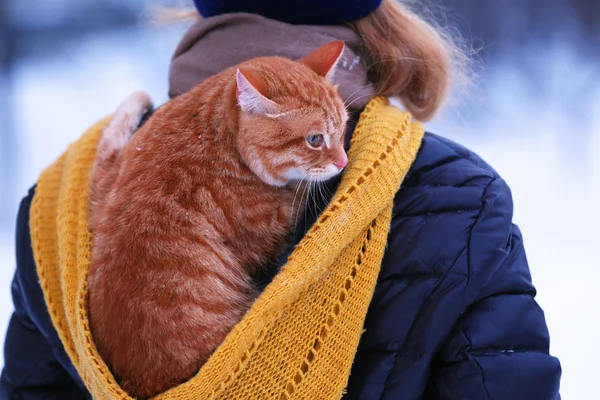 Woman with red cat on her back with snowfall background — Stock Photo, Image