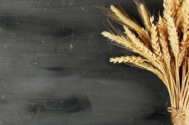 Spikelets koyu ahşap arka plan üzerinde buğday