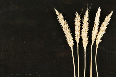 Siyah ahşap zemin üzerine buğday spikelets