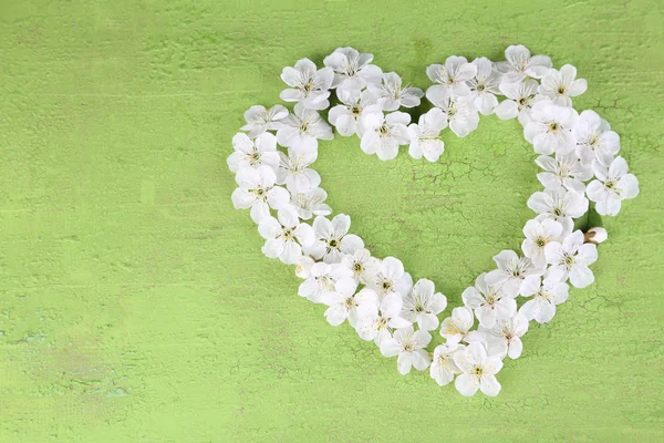 Beautiful cherry blossom on wooden background — Stock Photo, Image