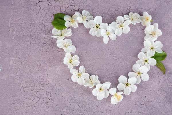 Beautiful cherry blossom on wooden background — Stock Photo, Image