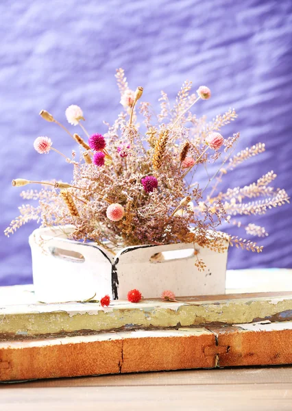 Dried flowers in pot — Stock Photo, Image