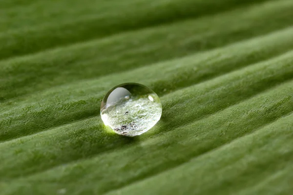 Dew drop on leaf, macro view — Stock Photo, Image