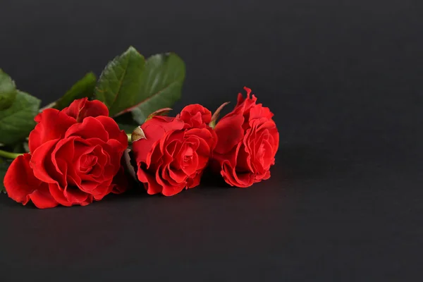 Bouquet de merveilleuses roses rouges sur fond sombre — Photo