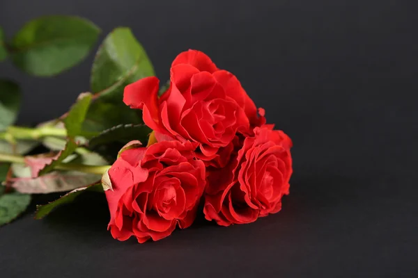 Boeket van prachtige rode rozen op donkere achtergrond — Stockfoto
