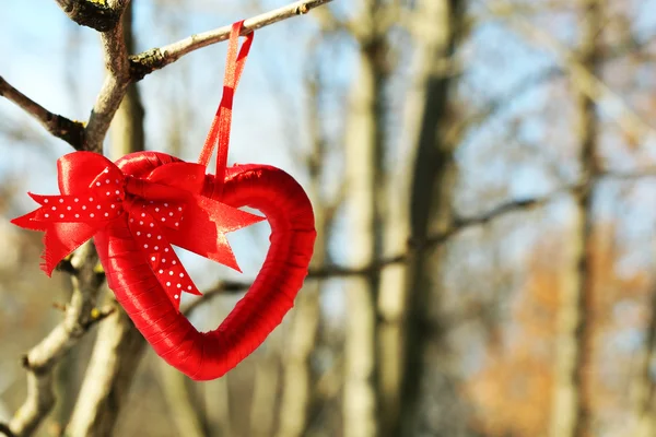 Tree branch with heart decoration — Stock Photo, Image