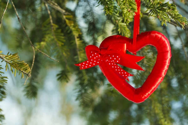 Tree branch with heart decoration — Stock Photo, Image