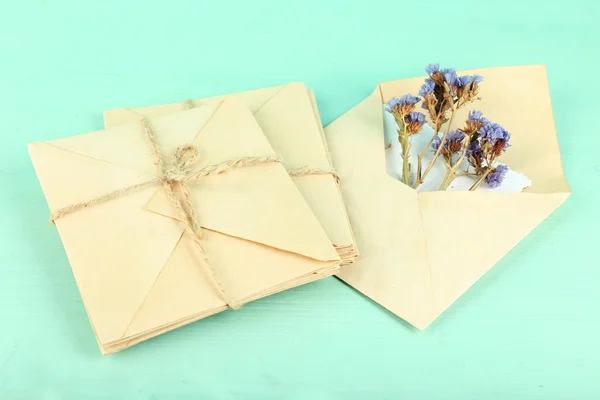 Old letters with dry flowers — Stock Photo, Image