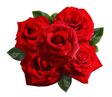 Beyaz bir demet güzel gül.