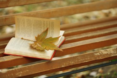 Yaprak ile tezgah üzerinde kitap