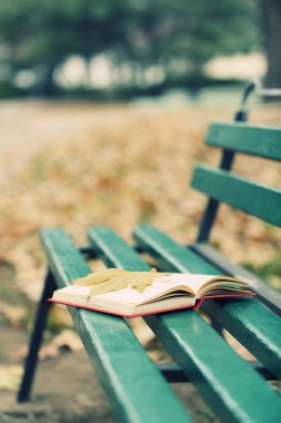 Yaprak ile tezgah üzerinde kitap