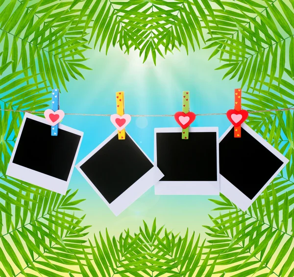 Clothesline palmiye yaprakları arka plan üzerinde asılı fotoğraf kartları — Stok fotoğraf
