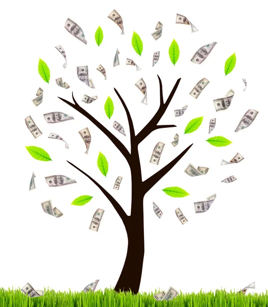 Money tree isolated on white — Stock Photo, Image