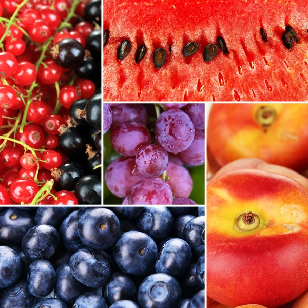 Fruits and berries in colorful collage — Stock Photo, Image