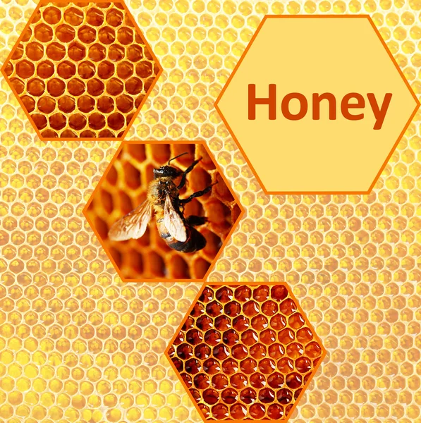 Achtergrond honingraat — Stockfoto