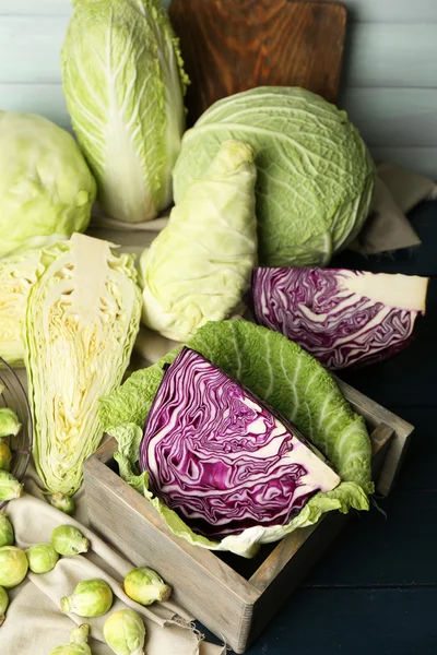 Still life with assortment cabbages — Stock Photo, Image