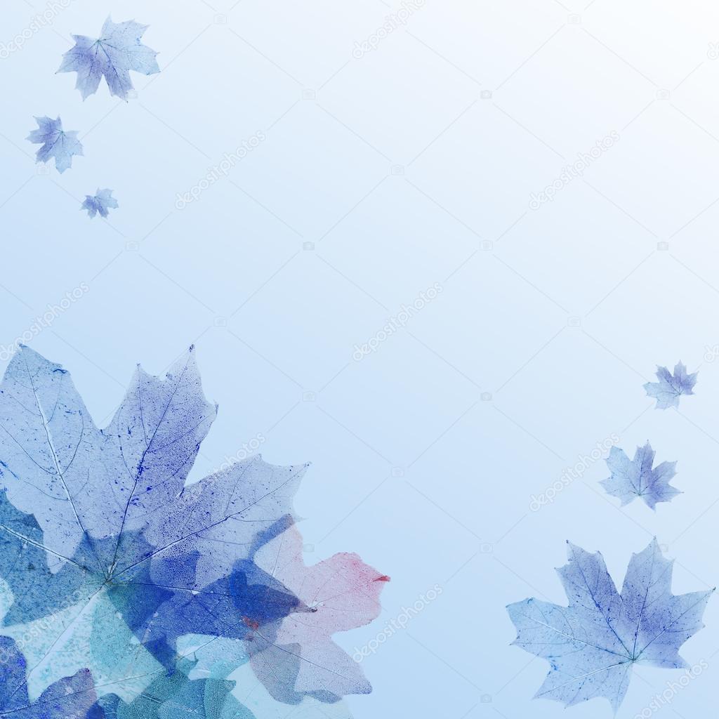 Colored leaves shaped  frame