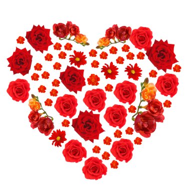 Kalp şeklinde güzel çiçekler beyazda izole edilmiş.