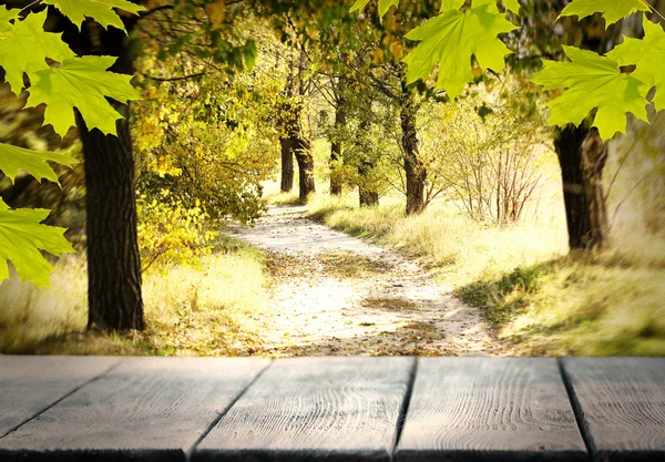 公園の背景に木の板 — ストック写真