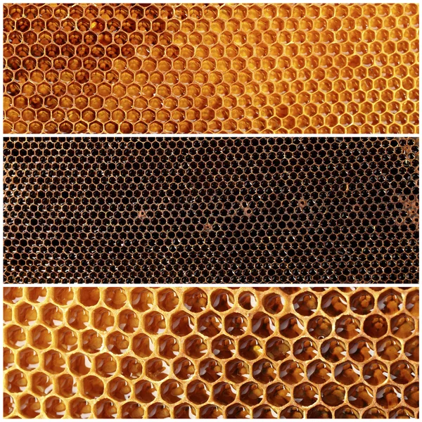 Colagem de favos de mel — Fotografia de Stock
