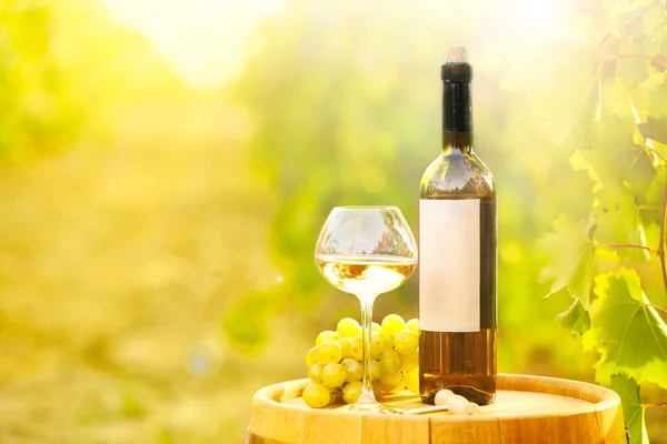 Tasty wine on wooden barrel on grape plantation background — Stock Photo, Image