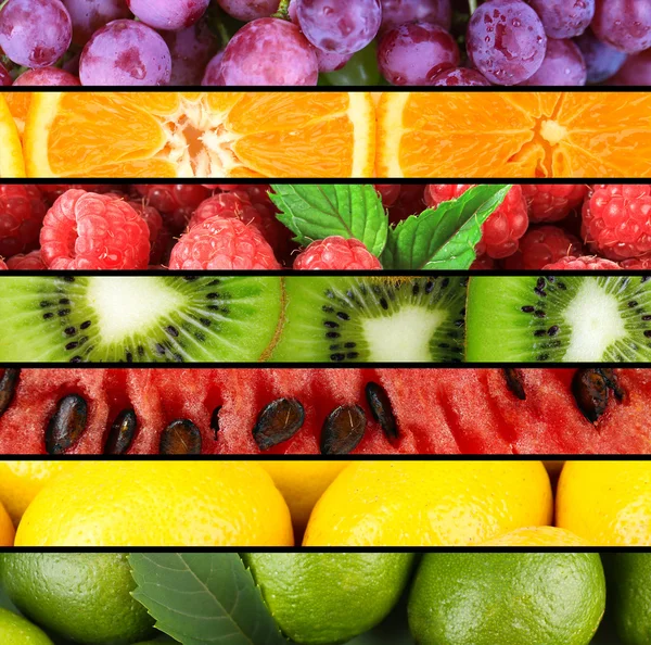 Früchte und Beeren in farbenfroher Collage — Stockfoto