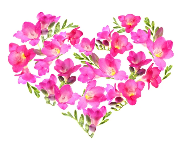 Piękne kwiaty w kształcie serca odizolowane na białym — Zdjęcie stockowe