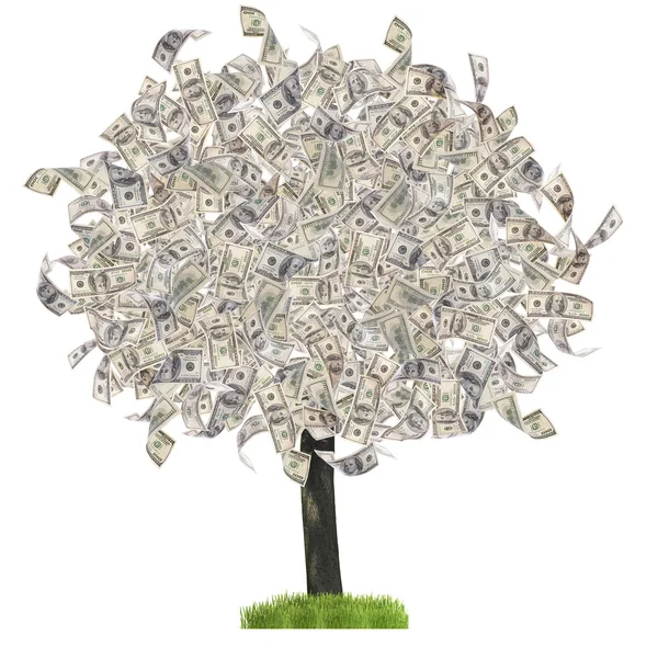 Árvore de dinheiro isolado em branco — Fotografia de Stock