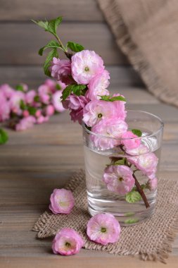 cam tabloda gri arka plan üzerinde güzel meyve çiçeği