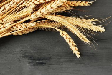 Spikelets koyu ahşap arka plan üzerinde buğday