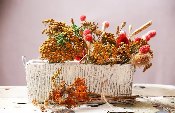 Fleurs séchées en pot sur fond lumineux — Photo