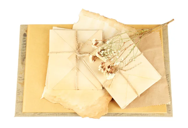 Cartas velhas com flores secas — Fotografia de Stock