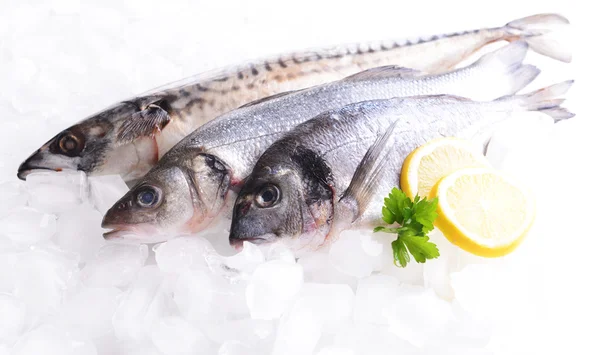 Frischer Fisch auf Eis — Stockfoto