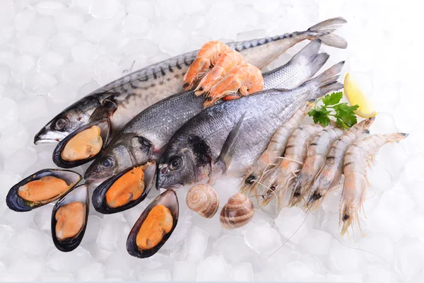 Peixes frescos e outros frutos do mar no gelo — Fotografia de Stock