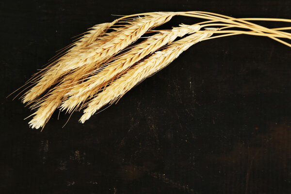 Колоски пшеницы на черном деревянном фоне
