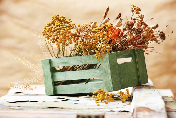 Torkade blommor i lådan på ljus bakgrund — Stockfoto