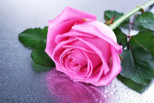 Hermosa rosa rosa en primer plano de la mesa — Foto de Stock