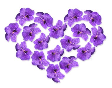 Kalp şeklinde güzel çiçekler beyazda izole edilmiş.